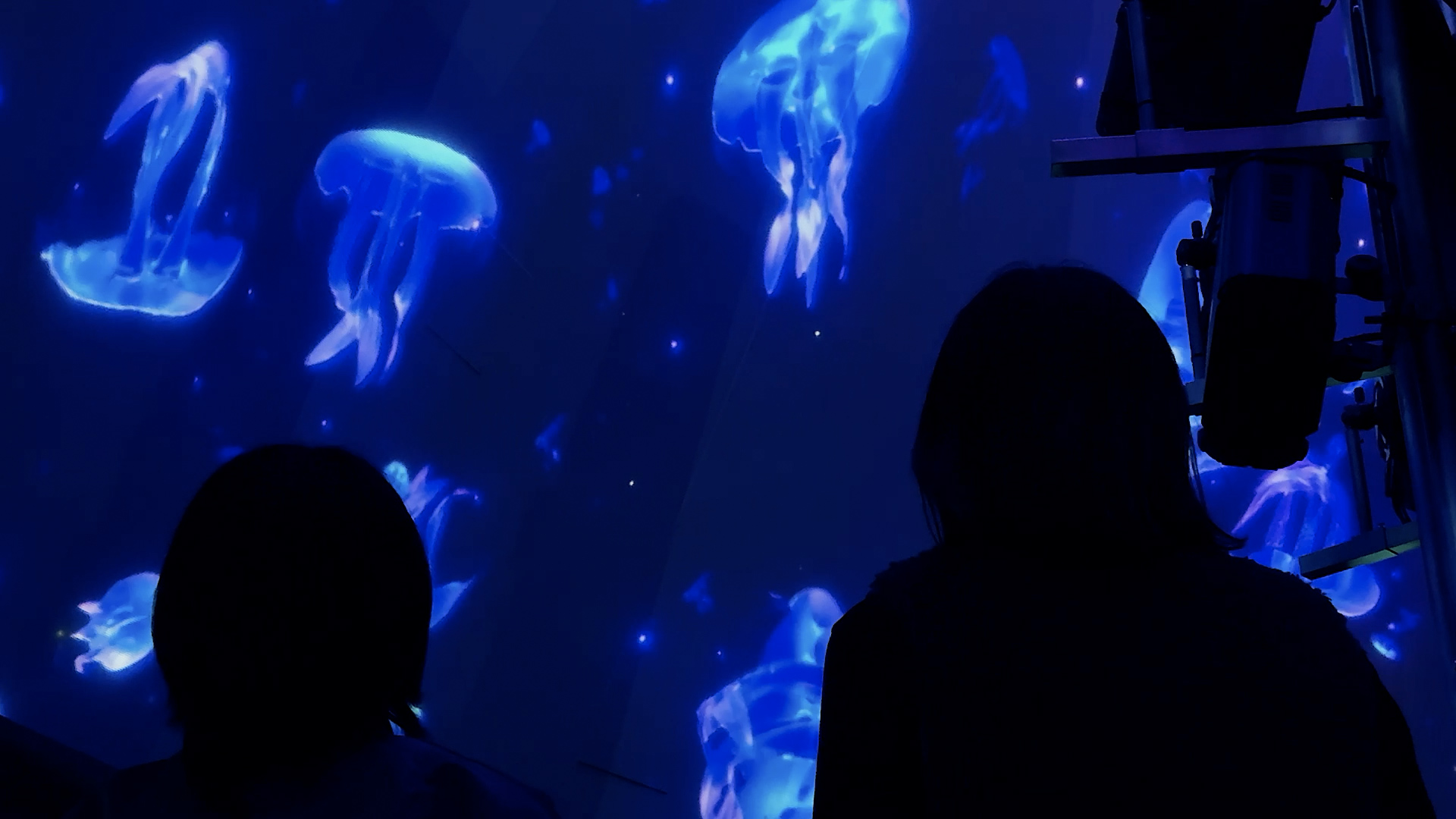 玄海海中展望塔 | Works | MontBlanc Pictures（モンブランピクチャーズ）